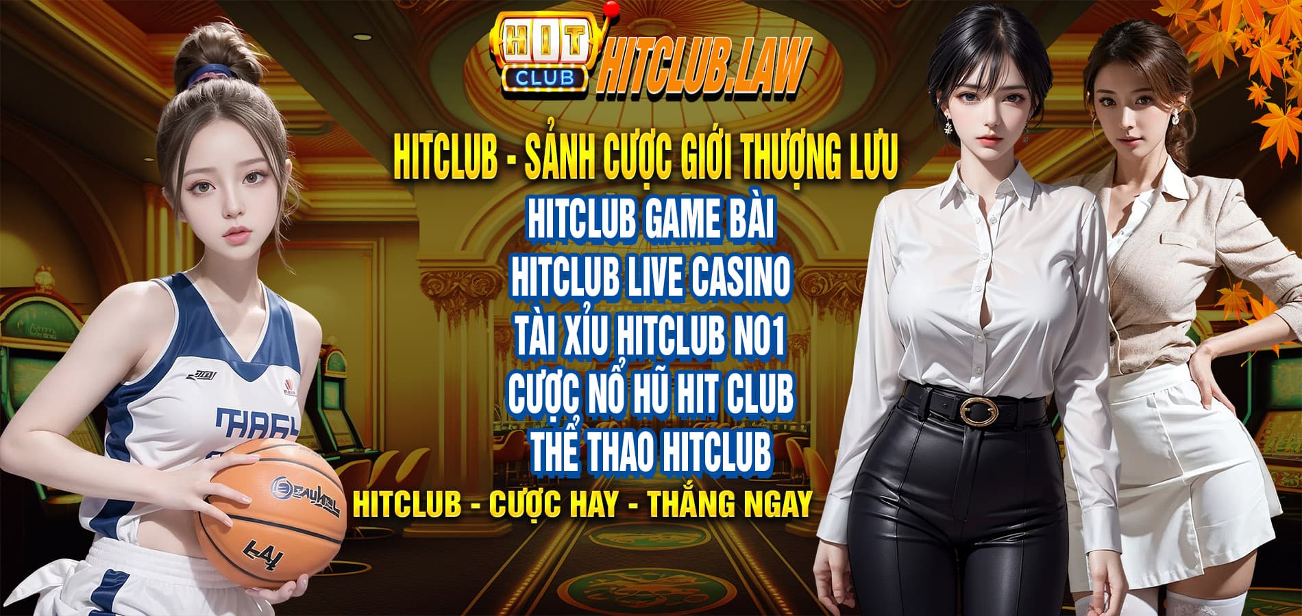 baner-hitclub-law